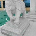 绥化 白麻花岗岩动物异形石雕-大象